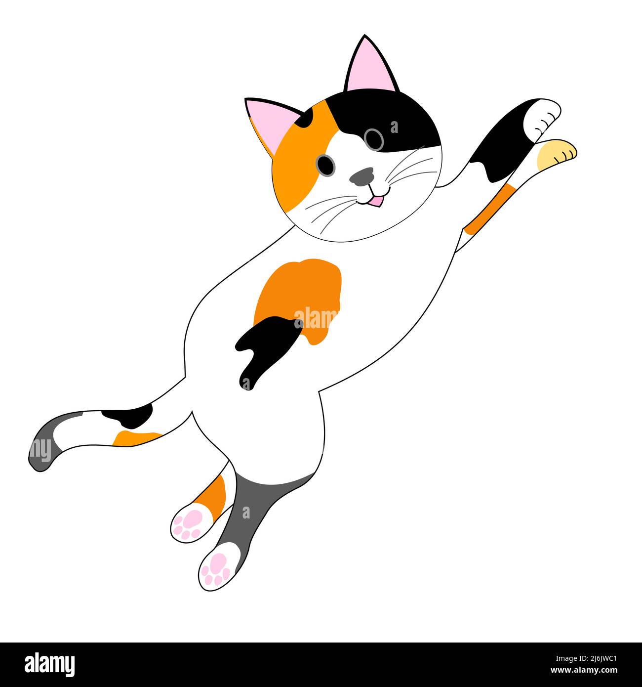 Springende Calico Katze mit weißem Hintergrund Stockfoto
