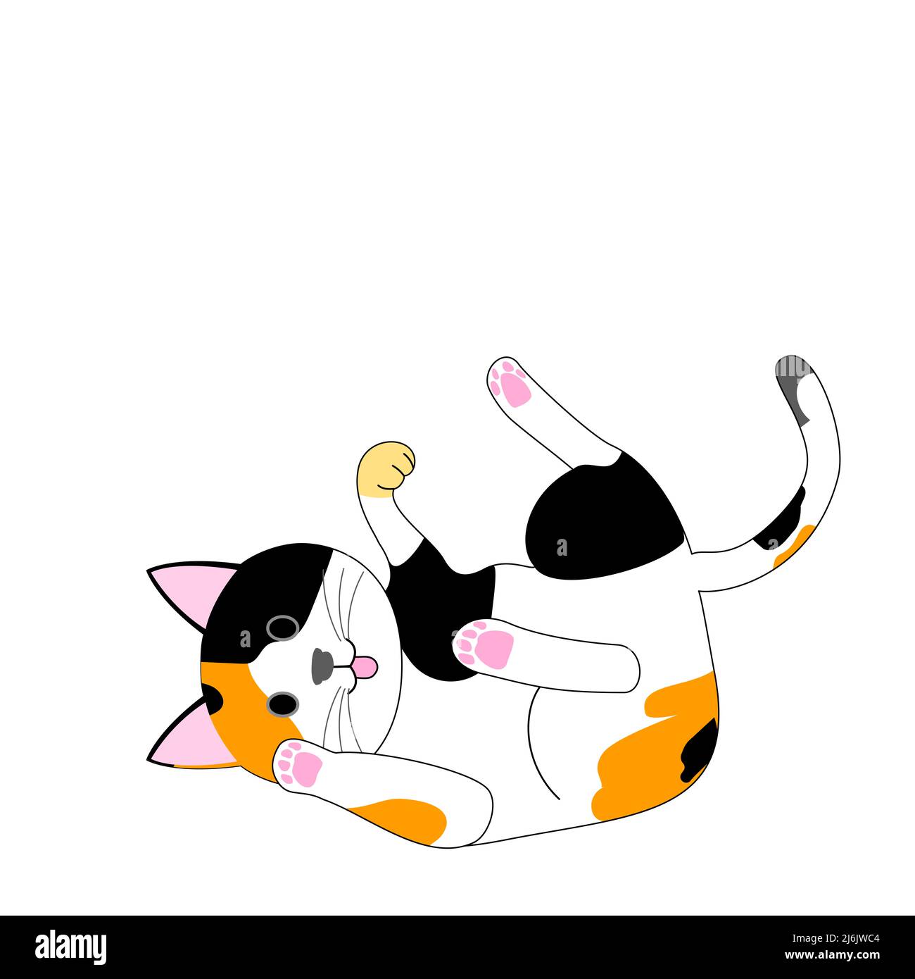 Eine spielende Calico Katze mit weißem Hintergrund Stockfoto