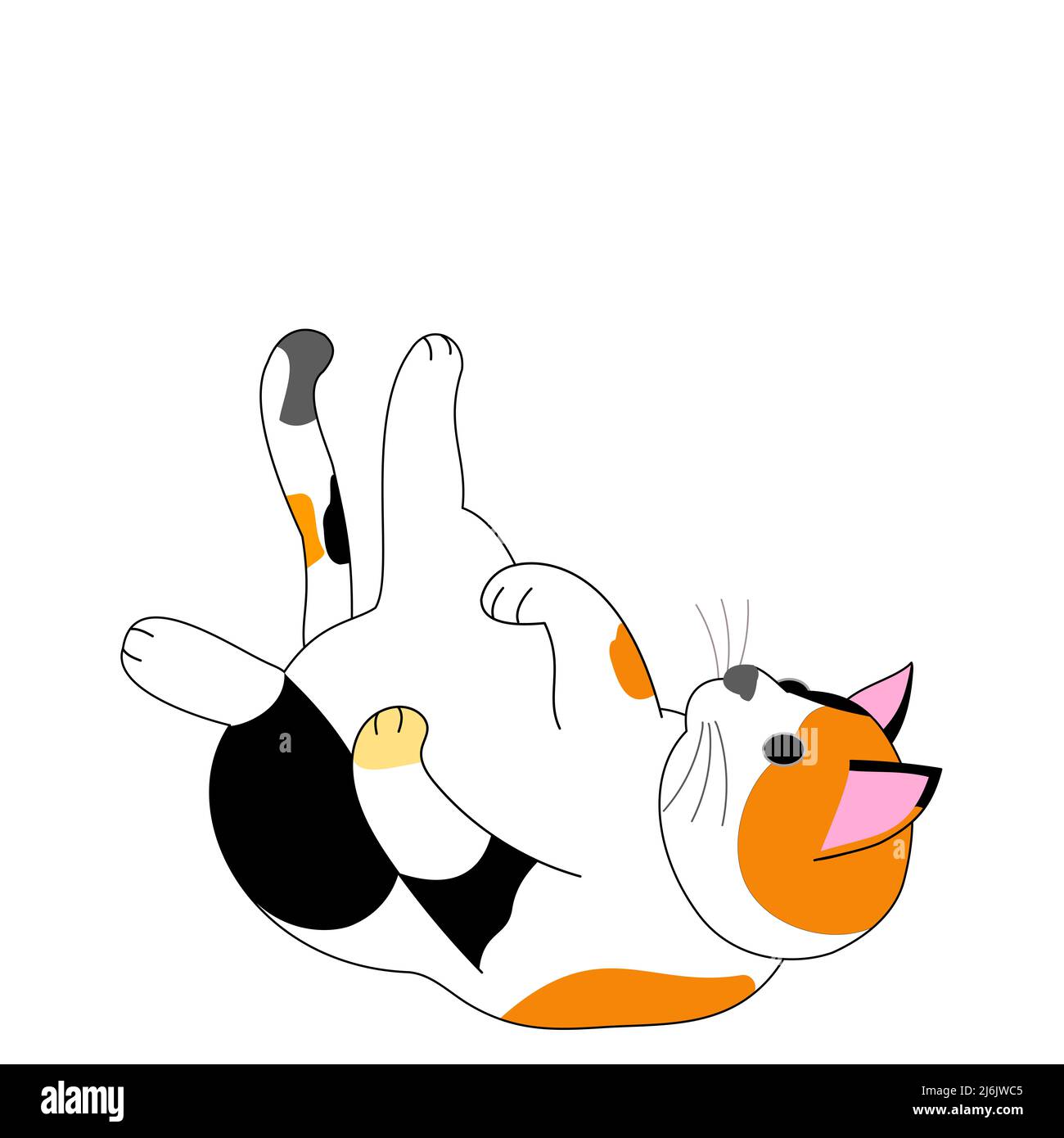 Eine spielende Calico Katze mit weißem Hintergrund Stockfoto