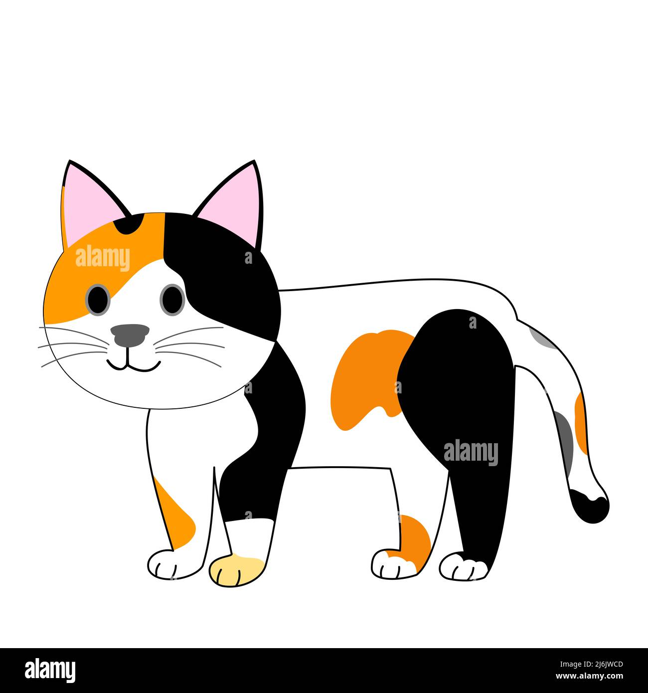 Eine stehende Kalikatze mit weißem Hintergrund Stockfoto