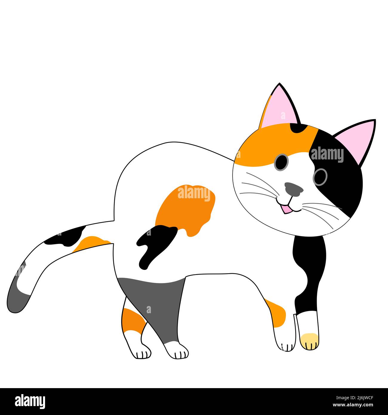 calico Katze mit weißem Hintergrund Stockfoto
