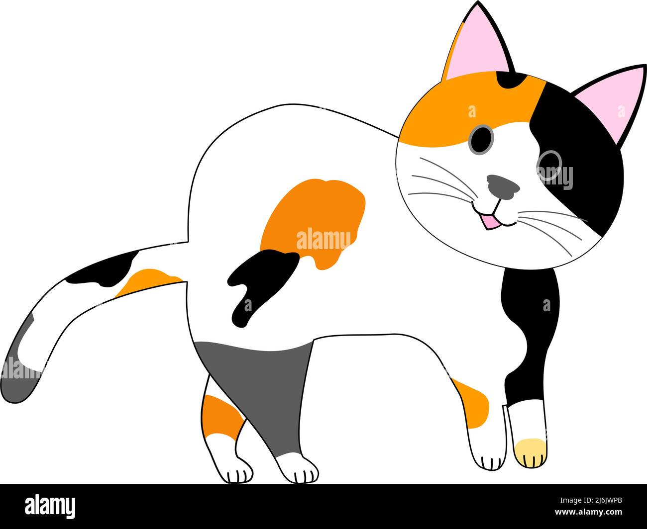 calico Katze mit weißem Hintergrund Stockfoto