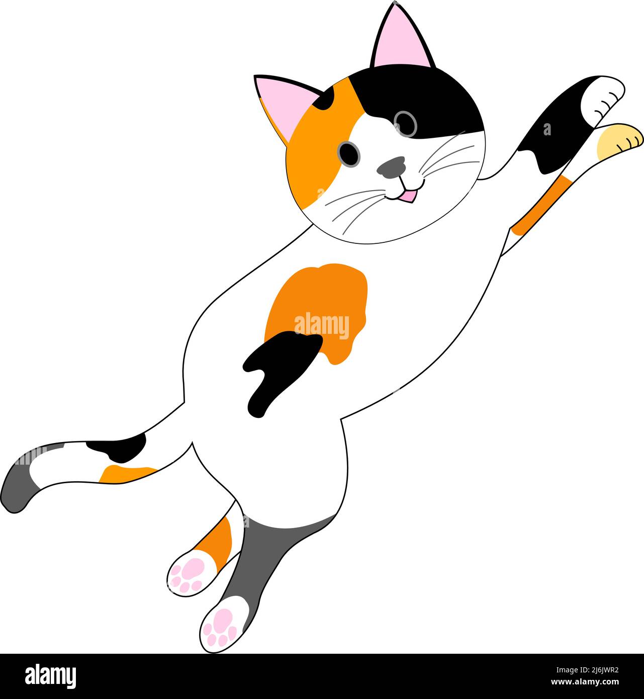 Springende Calico Katze mit weißem Hintergrund Stockfoto