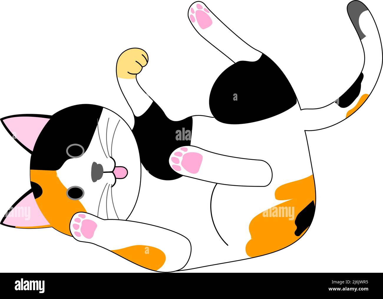 Eine spielende Calico Katze mit weißem Hintergrund Stockfoto
