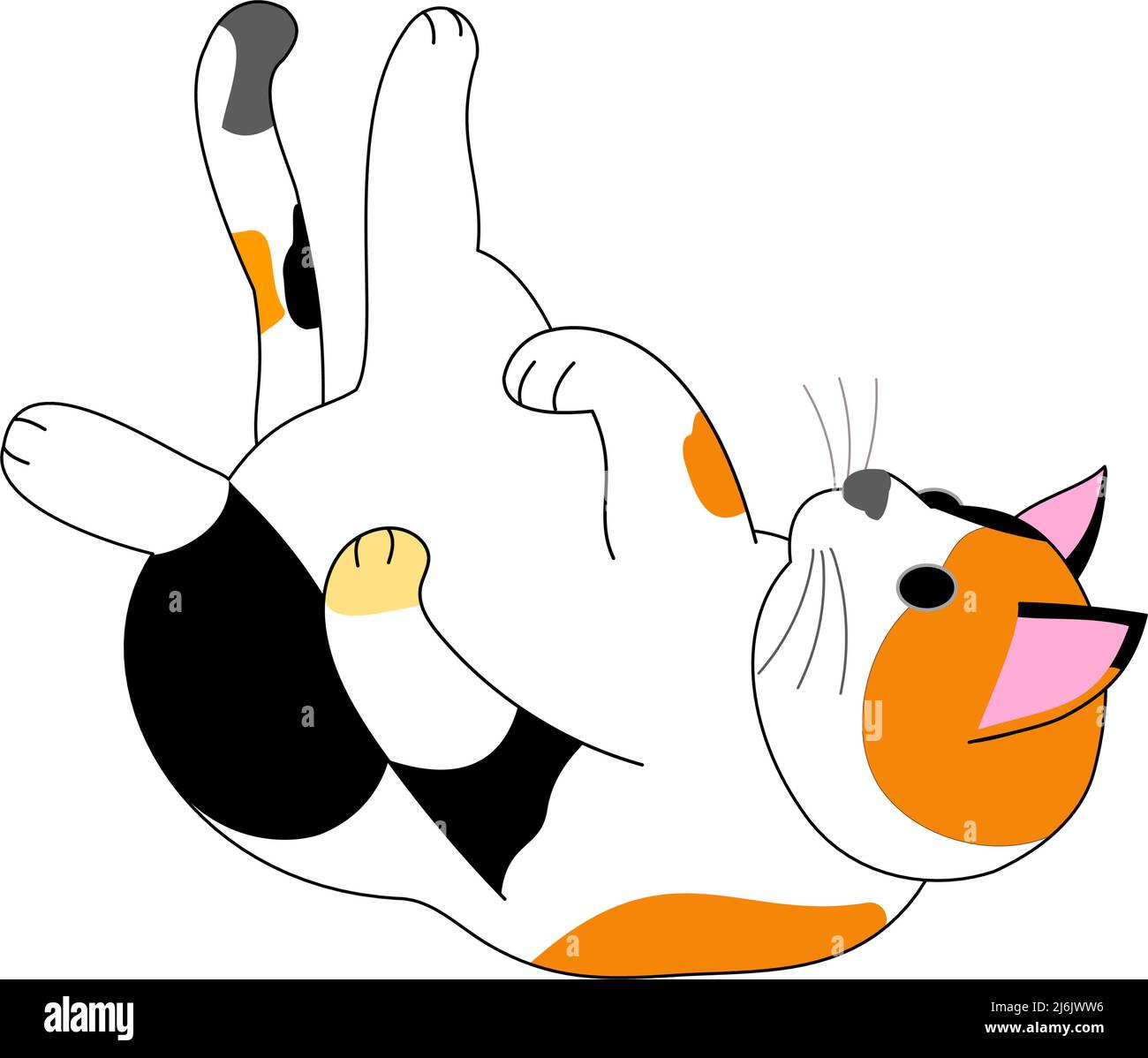 Eine spielende Calico Katze mit weißem Hintergrund Stockfoto