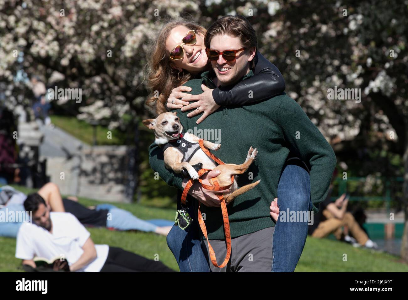 Mann und Frau mit Hund Boston Public Garden Stockfoto