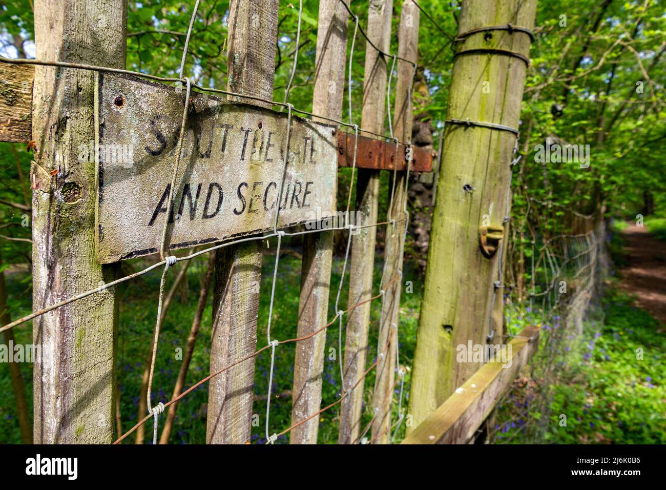 Schließen Sie das Tor Schild Hirschschutz Zaun Hayley Wood, Cambs Stockfoto