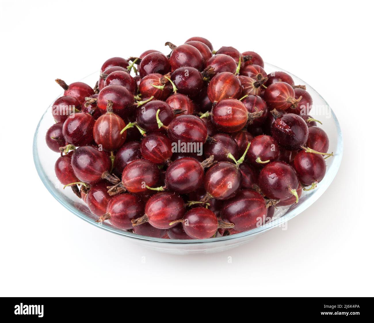 Rote Stachelbeere in Glasschale isoliert auf weißem Hintergrund Stockfoto