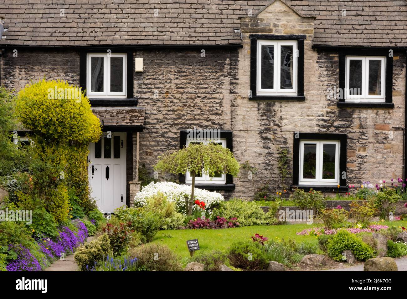 Frühlingsgärten. Eine Reihe alter Hütten, Castleton, High Peak, Derbyshire, Großbritannien Stockfoto