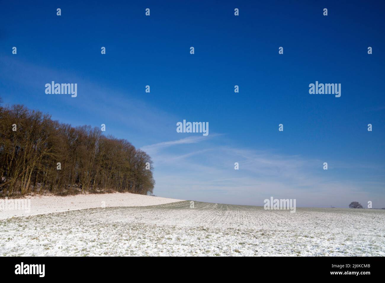 Weite offene Winterlandschaft in der Nähe des niederländischen Dorfes Simpelveld Stockfoto