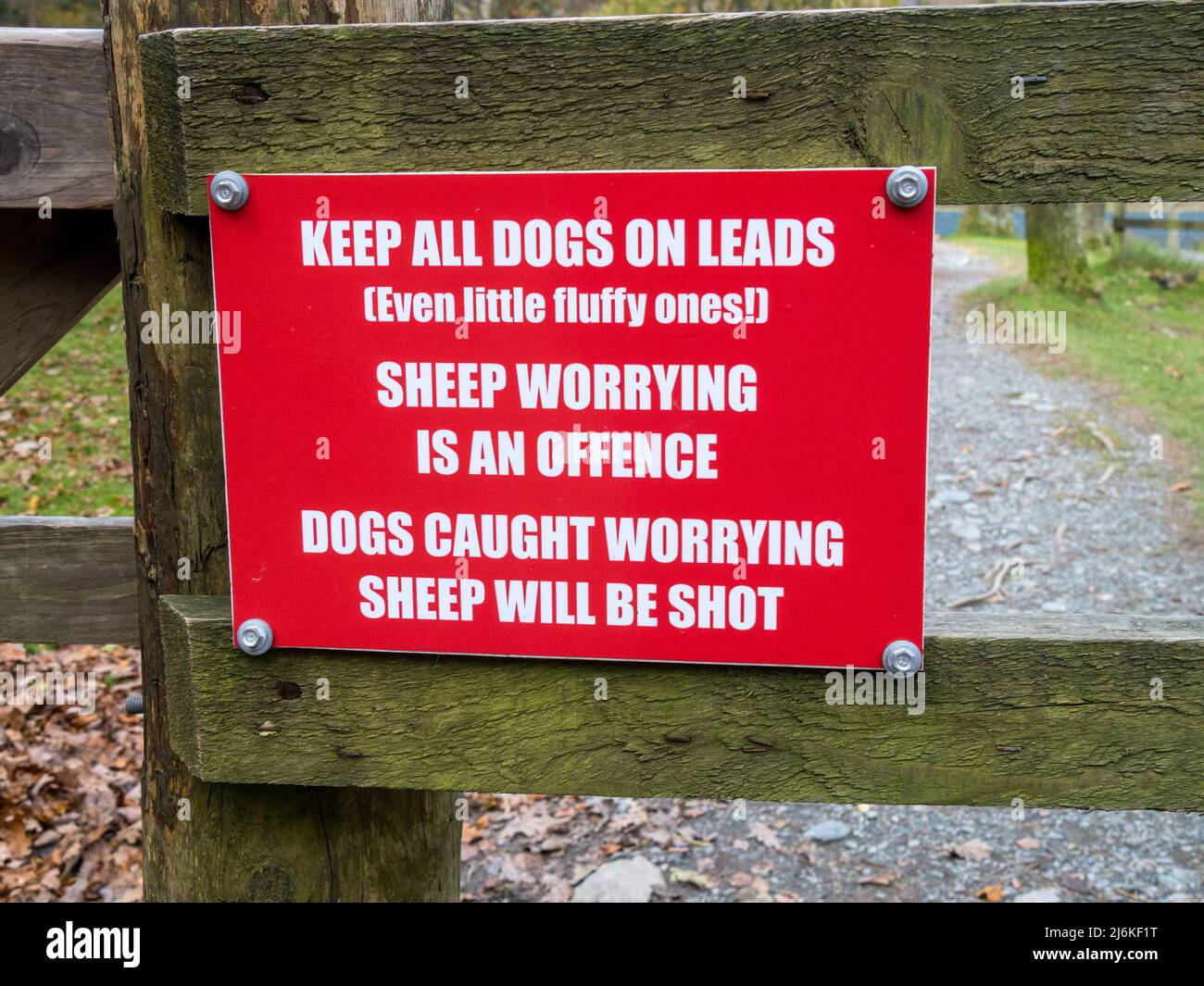 „Hunde an der Messeleine halten – Schafbesorgniserregend ist ein Vergehen – Hunde, die sich Sorgen machen, Schafe werden geschossen“ Warnschild an einem Fußgängersteig der Schaffarm. Stockfoto
