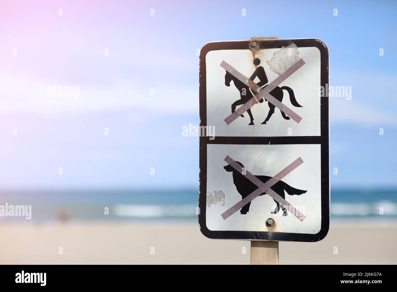 schilder am Strand Hunde sind verboten und Reiten ist verboten. Warnung ...