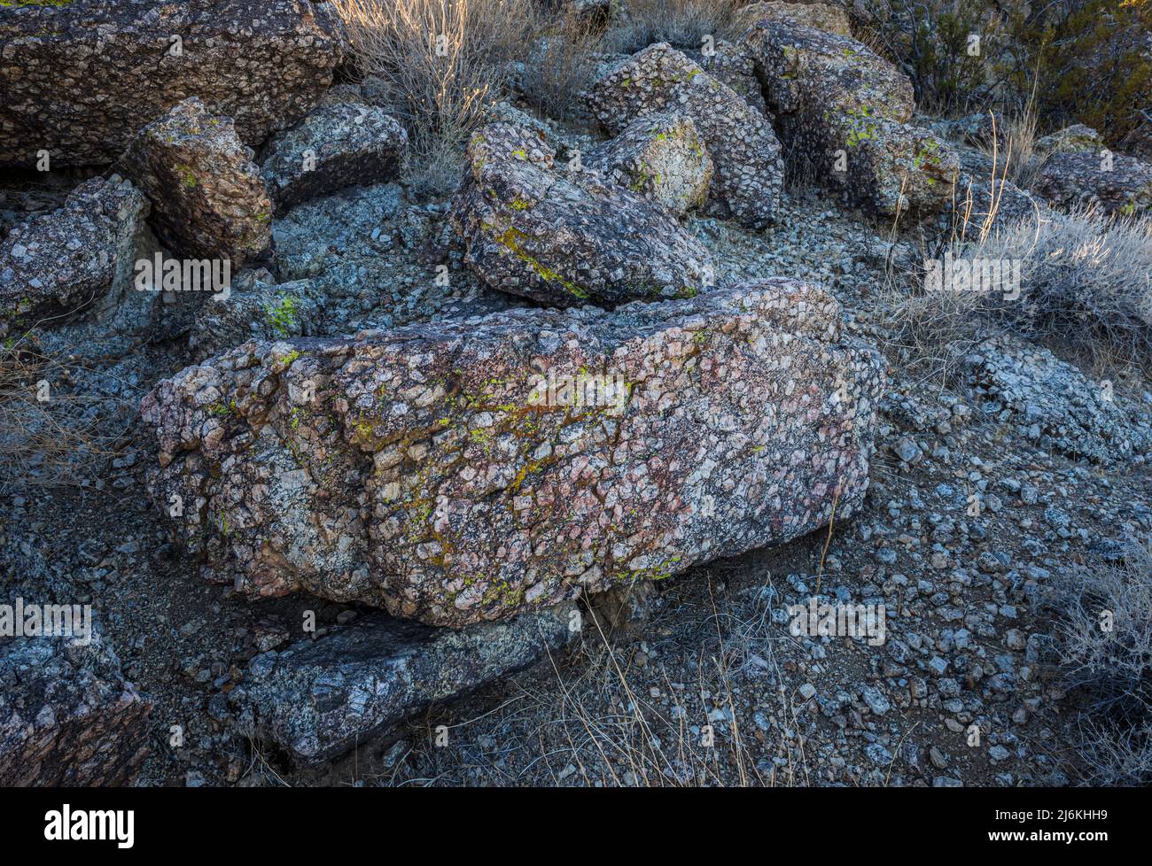 Feldspatkristalle in Felsbrocken in der Nähe des Eingangs zur Indian Cove zum Joshua Tree National Park. Stockfoto