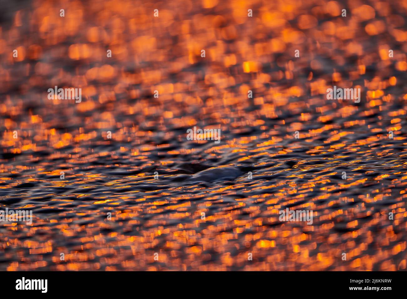 Sonnenreflexionslose am nassen Strand Stockfoto