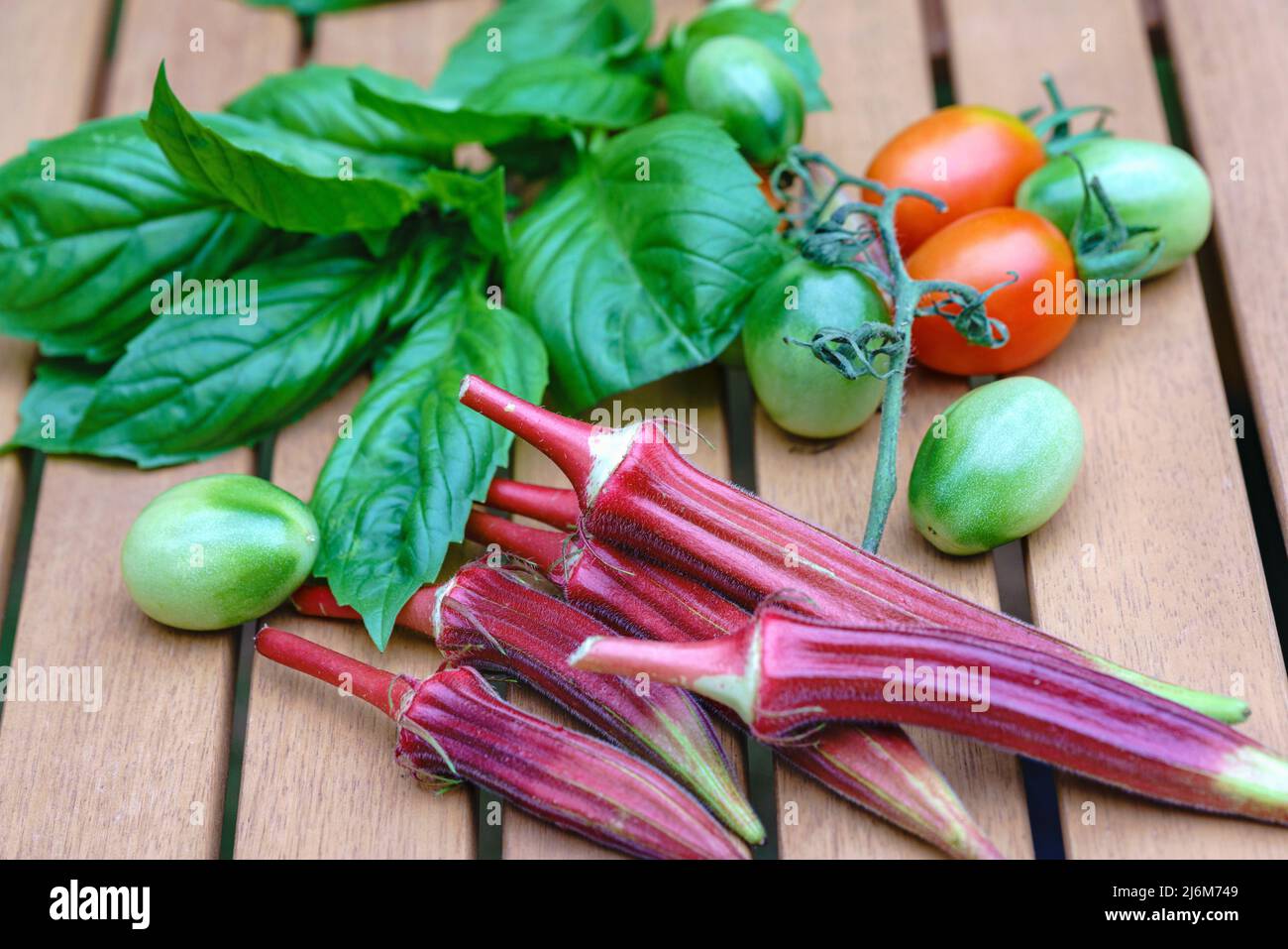 Frisch geerntetes Basilikum, Okra und Tomaten auf einem Holztisch im Freien, gesundes Leben mit Bio-Gemüse und Kräutern. Stockfoto