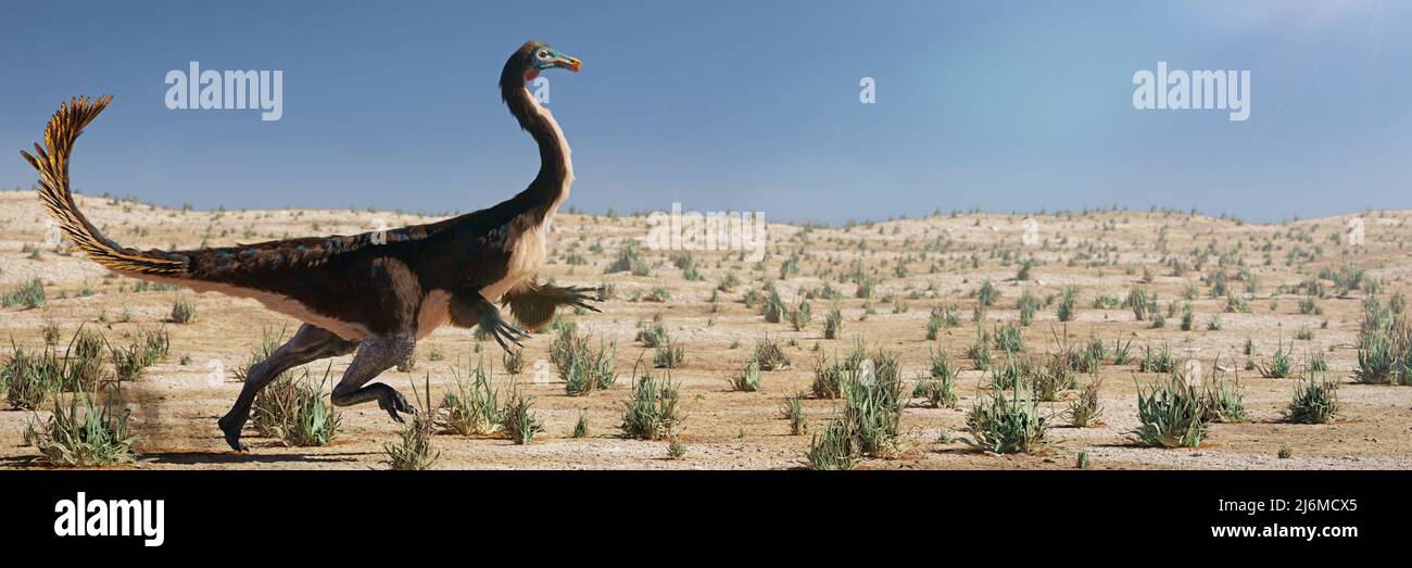 Gallimimus, schnell laufender Theropod-Dinosaurier, der während der späten Kreidezeit lebte, Hintergrundbanner Stockfoto
