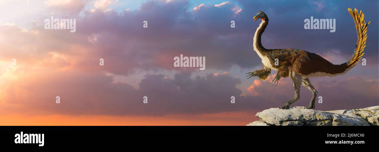 Gallimimus, gefiederter Theropod-Dinosaurier, der während der späten Kreidezeit lebte, Hintergrundbanner Stockfoto