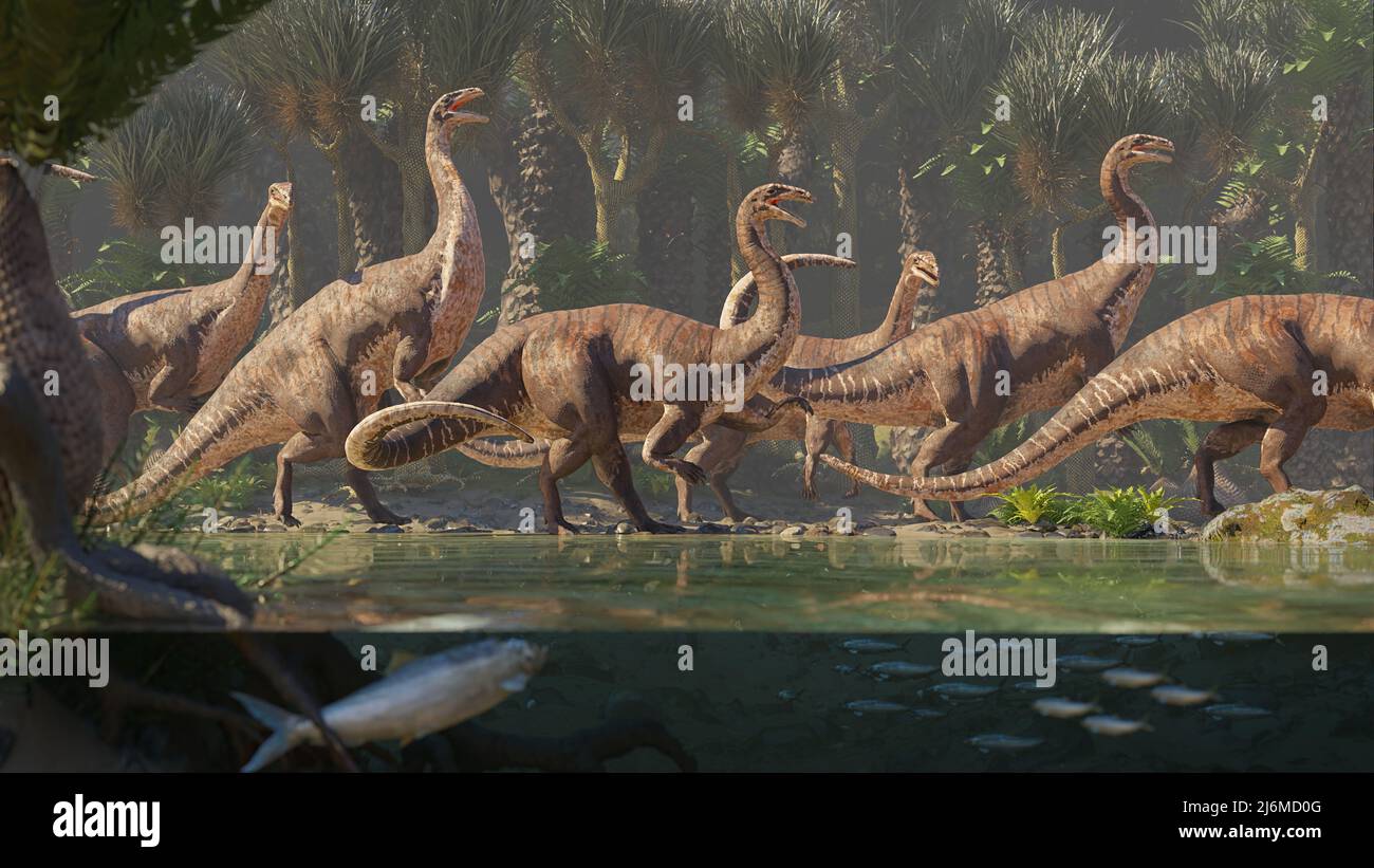 Plateosaurus Herde, Dinosaurier aus der späten Trias Epoche zu Fuß entlang eines Flusses ( Stockfoto