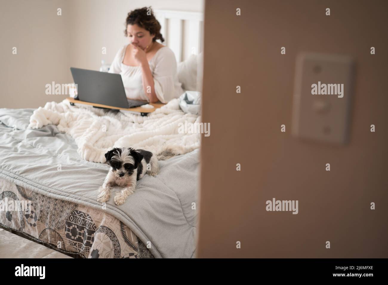 Frau und ihr Hund sitzen auf dem Bett Stockfoto