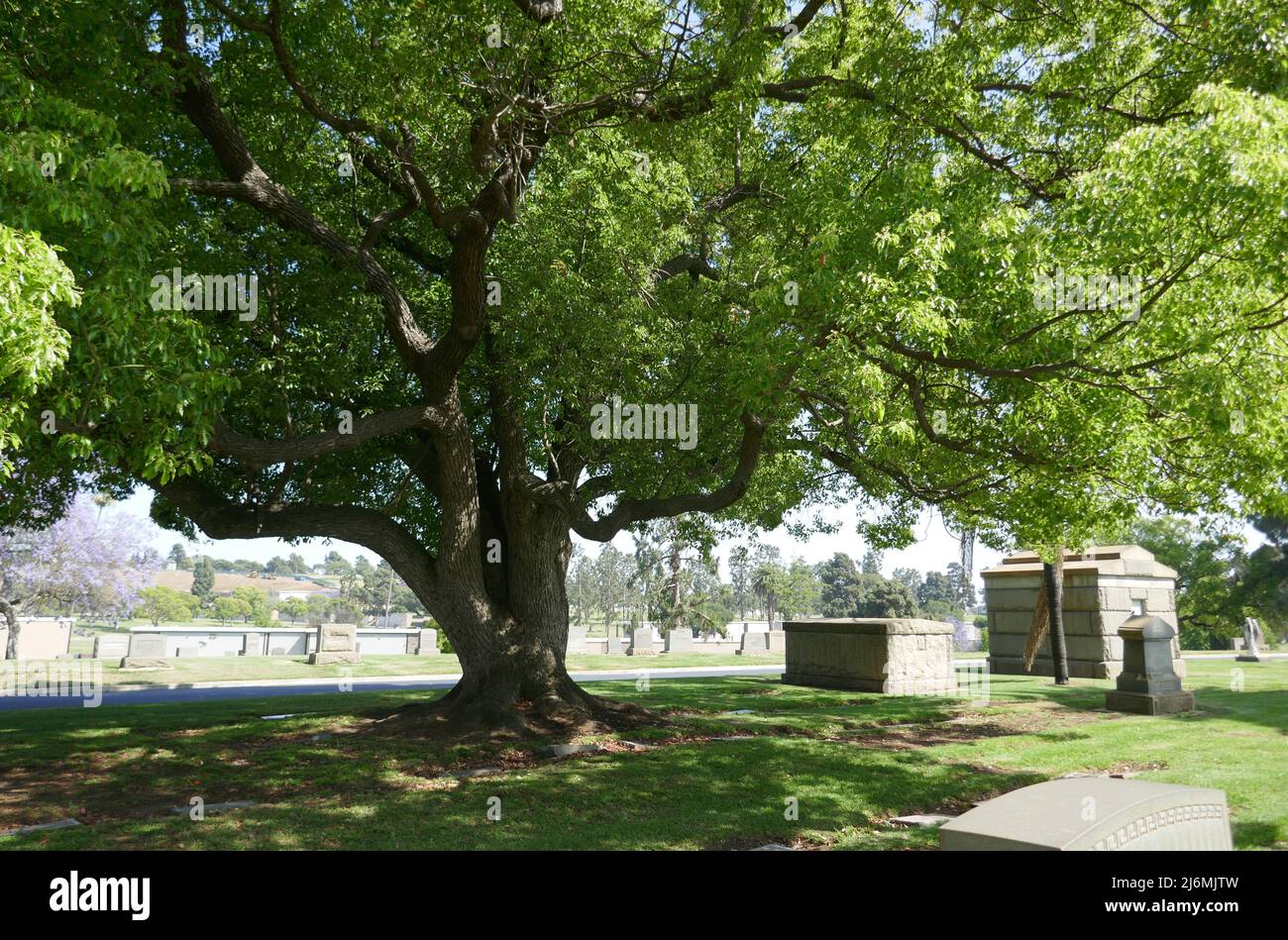 Inglewood, California, USA 29. April 2022 Inglewood Park Cemetery am 29. April 2022 in Inglewood, Los Angeles, California, USA. Foto von Barry King/Alamy Stockfoto Stockfoto