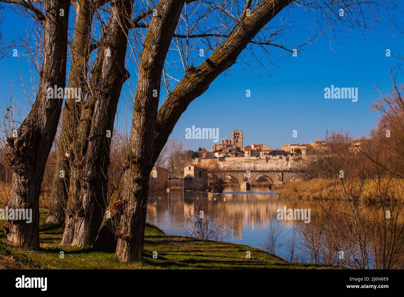 Kathedrale, Steinbrücke, Duero River Zamora Stadt, Zamora Provience, Kastilien und Leon, Spanien, Europa. Stockfoto