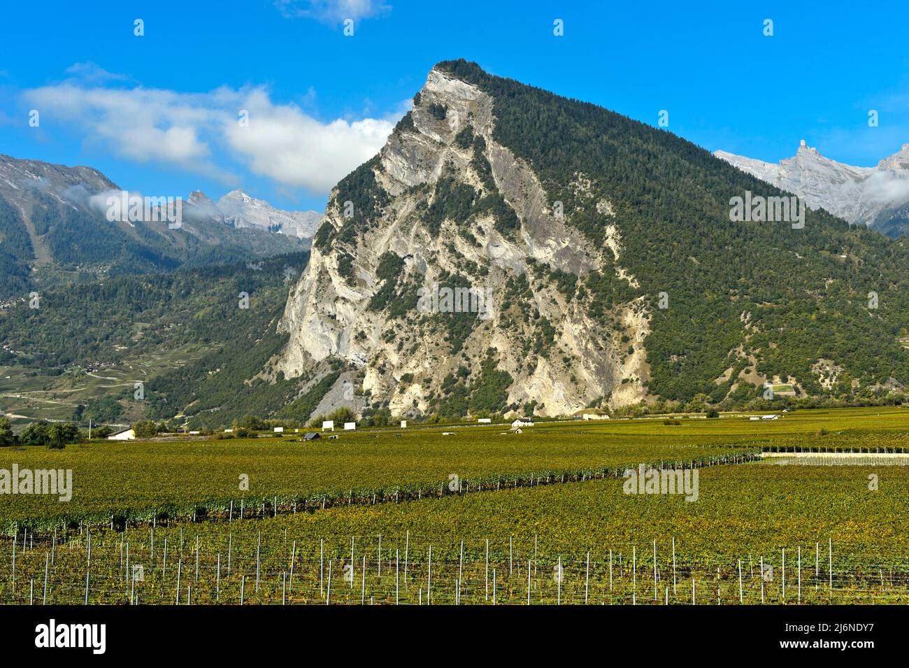 Der Ardeve-Gipfel überragt die Weinregion Leytron, Leytron, Wallis, Schweiz Stockfoto