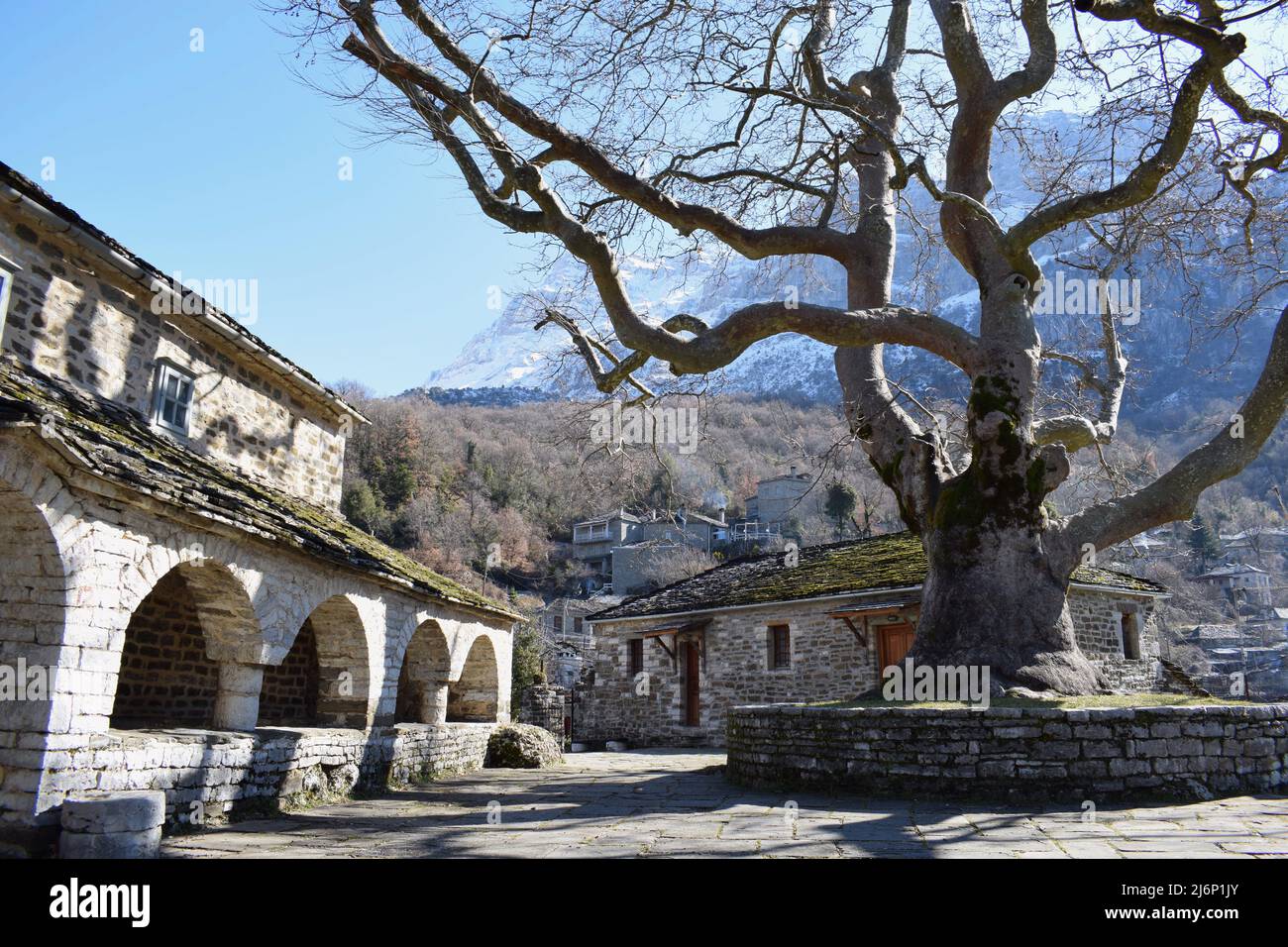 Winterlandschaft in einem malerischen traditionellen Dorf namens Mikro Papigo (oder Papingo) in Epirus, Griechenland. Ein schöner Baum außerhalb der Kirche Taxiarches Stockfoto