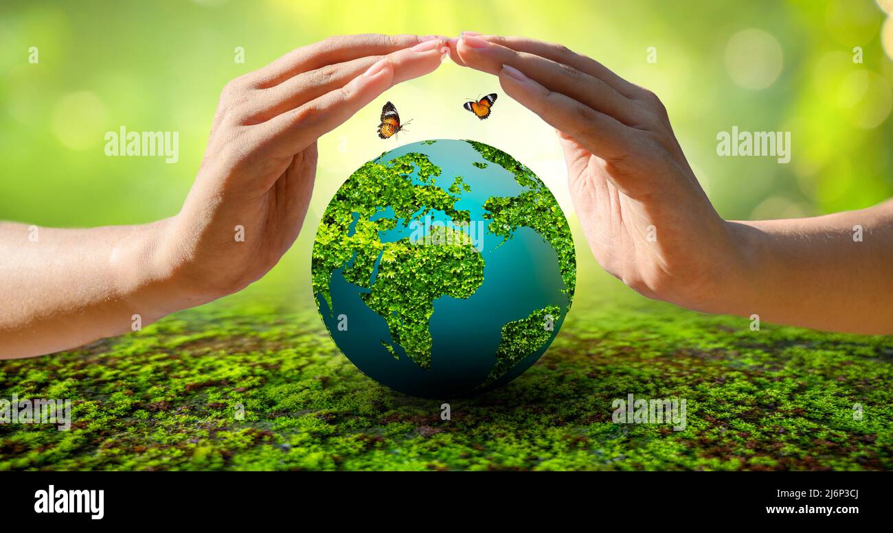 Konzept der Welt Speichern speichern Umwelt Die Welt in das Gras auf dem Grün bokeh Hintergrund ist Stockfoto