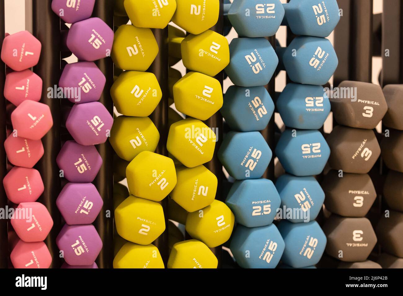 Nahaufnahme von farbcodierten Gummi-Hanteln, die in einem Rack in einem Fitnessstudio gelagert sind Stockfoto