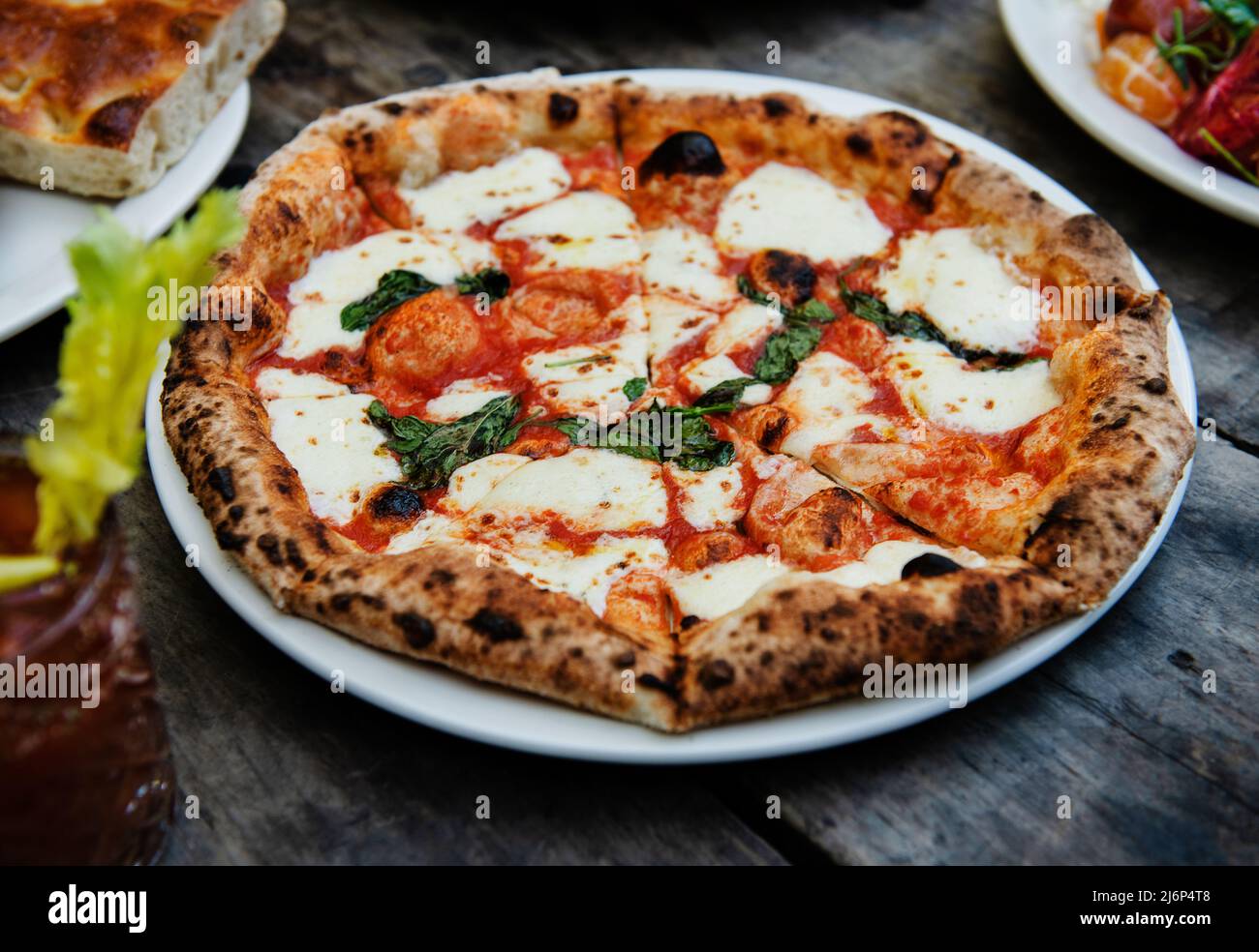 Gourmet-Pizza Margherita Stockfoto