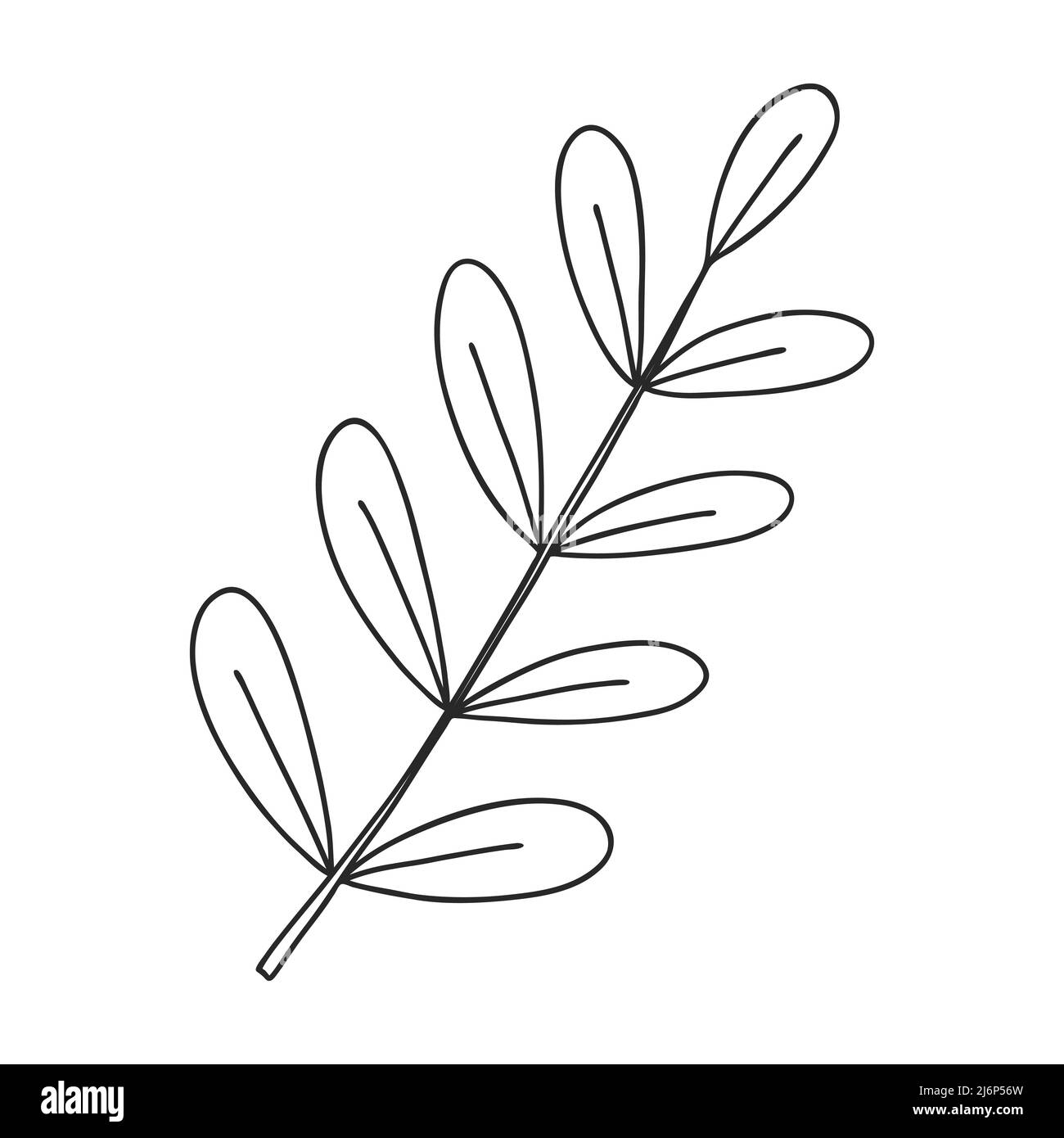 Ein Zweig von Pflanzen mit Blättern auf dem Stamm. Botanisches Zierelement. Einfache Schwarz-Weiß-Vektordarstellung, von Hand gezeichnet, isoliert auf einem Weiß Stock Vektor