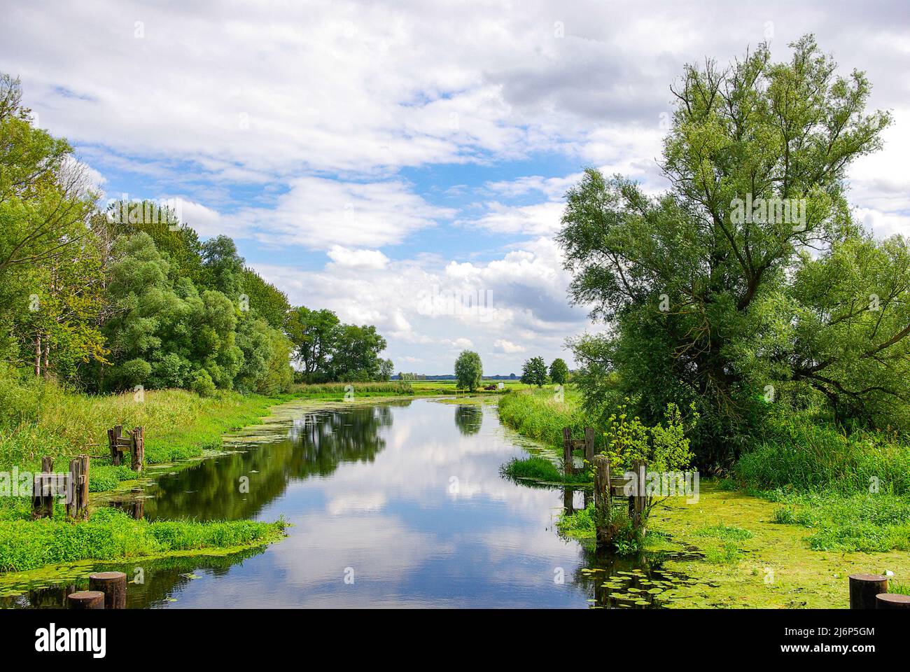 Malerische Flusslandschaft bei Nehringen, Gemeinde Grammendorf, Mecklenburg-Vorpommern, Deutschland. Stockfoto
