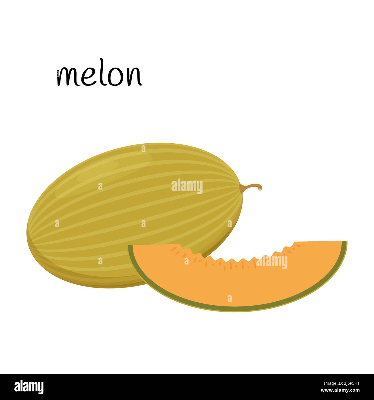 Melone ganz und schneiden Sie eine Scheibe Obst, Beere Symbol. Flaches Design. Auf weißem Hintergrund isolierte Darstellung von Farbvektoren Stock Vektor