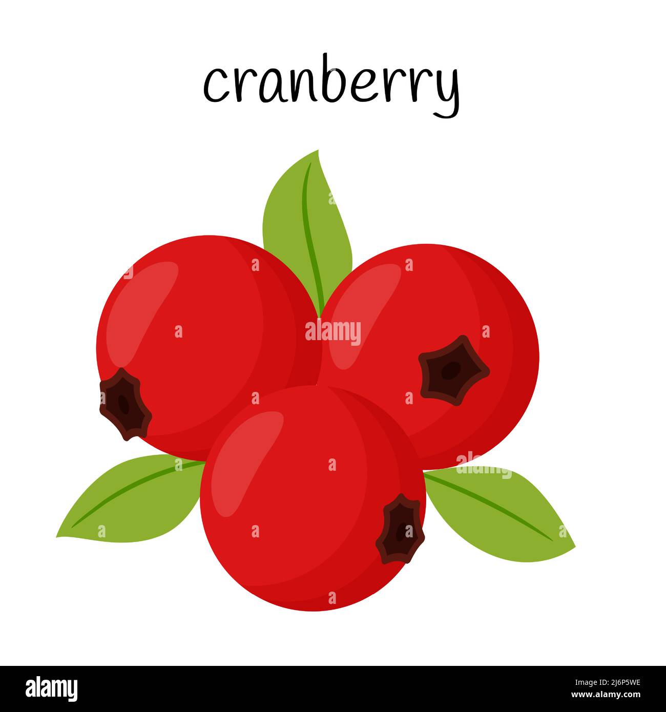 Preiselbeeren mit Blättern. Frucht, Beerenikone. Flaches Design. Auf weißem Hintergrund isolierte Darstellung von Farbvektoren Stock Vektor