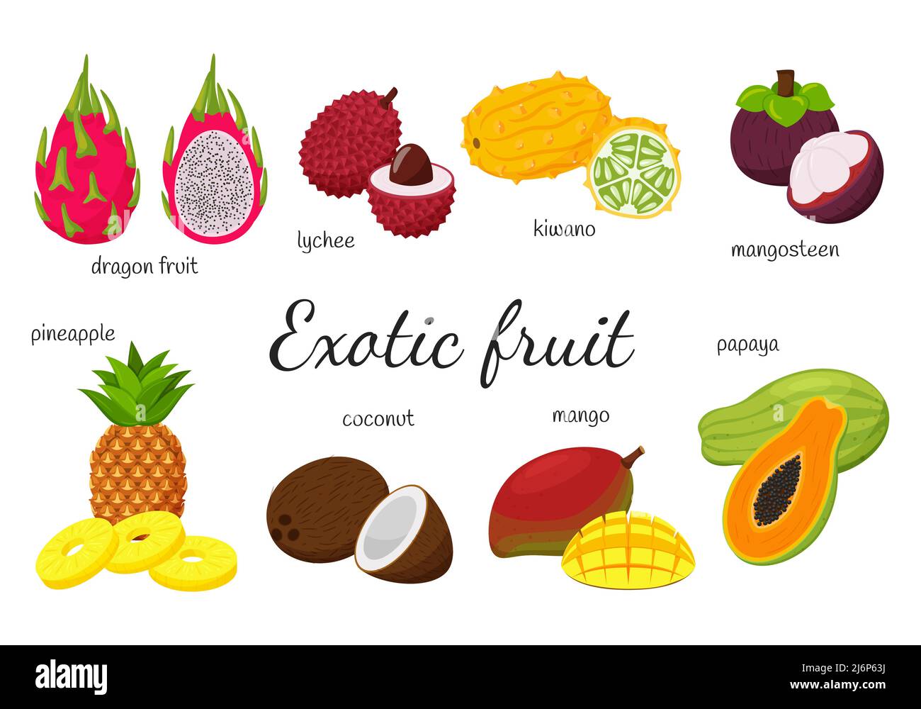 Eine Reihe tropischer, exotischer Früchte. 8 Früchte, ganz und gespalten. Mango, Papaya, Drachenfrucht, Kiwano, Litschi, mangostan, Kokosnuss, Ananas.Sammlung in Stock Vektor