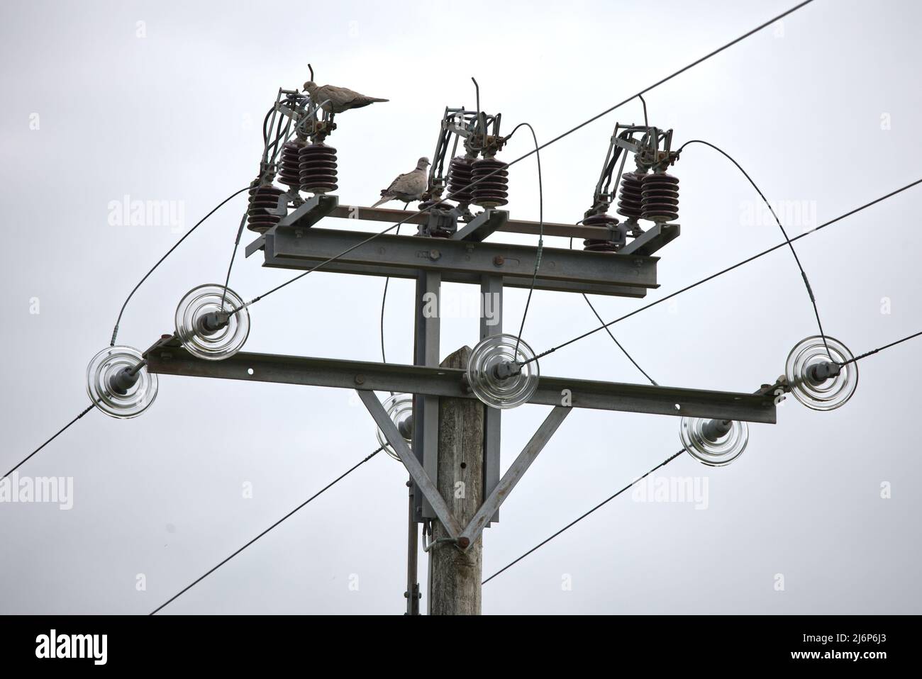 Elektrizität über die Stromleitungen des hoch- und Mittelspannungsverteilernetzes Stockfoto