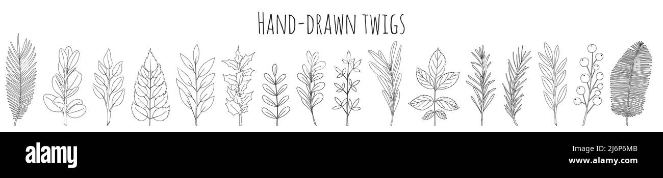 Eine Reihe von Blättern und Zweigen von Hand gezogen. Botanische Dekorationselemente für die Gestaltung von Artikeln, Zeitschriften, Rezepten und Menüs. Schlichtes schwarz-weißes ve Stock Vektor
