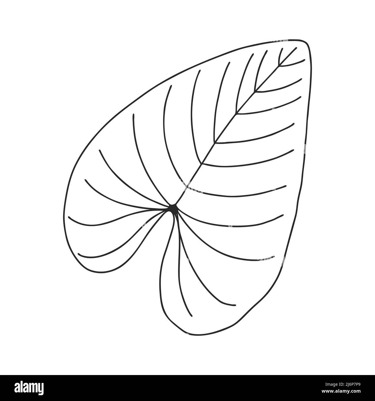Ein gewöhnliches Blatt einer Pflanze. Botanisches Dekorationselement für die Gestaltung von Artikeln, Zeitschriften, Rezepten und Menüs. Einfache schwarz-weiße Vektorgrafik Stock Vektor