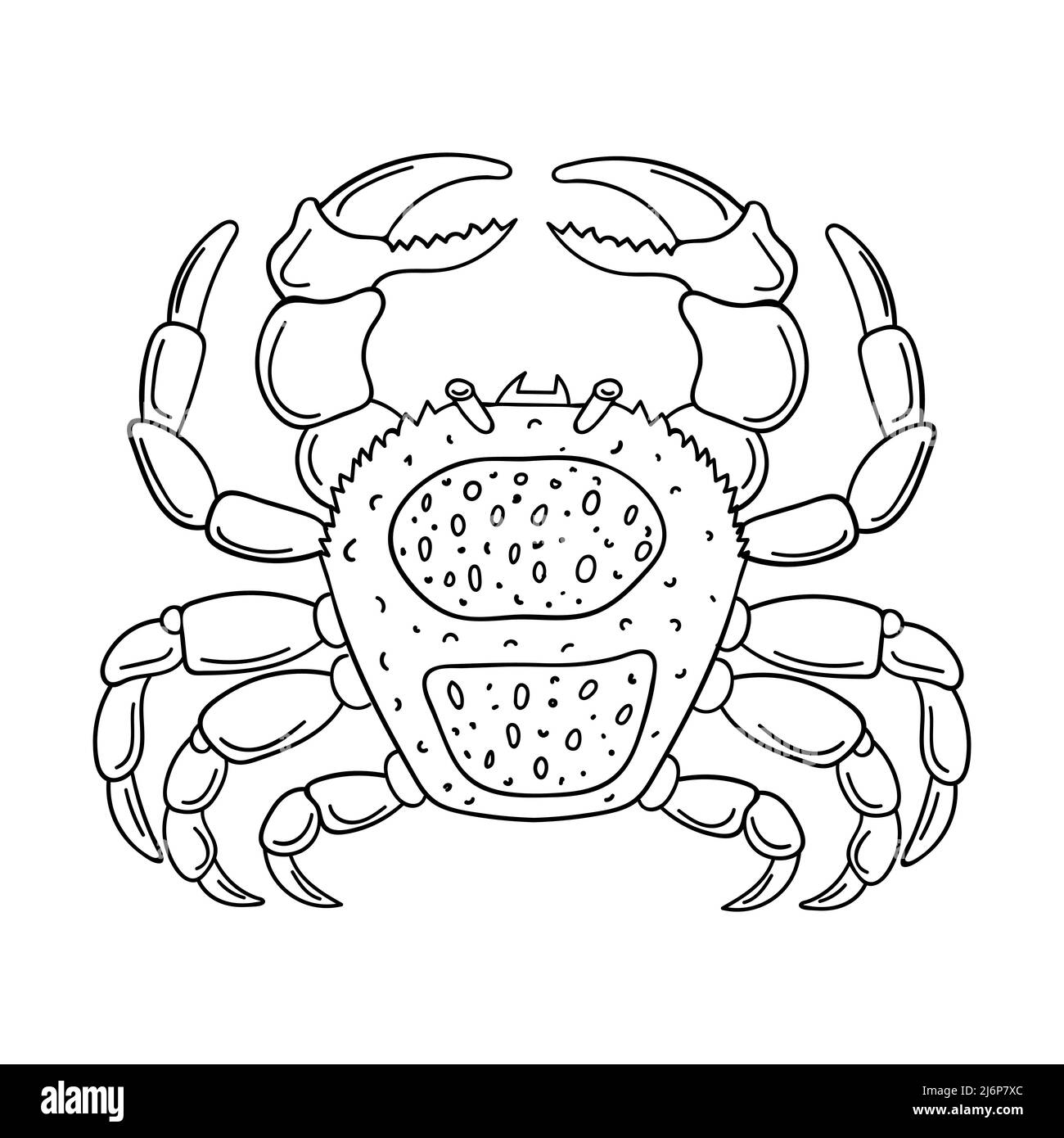 Skizze einer Krabbe. Marine Arthropoden Tier, handgezeichnetes Doodle Design-Element. Einfache Kontur schwarz-weiß Vektordarstellung. Isoliert auf einem weißen b Stock Vektor