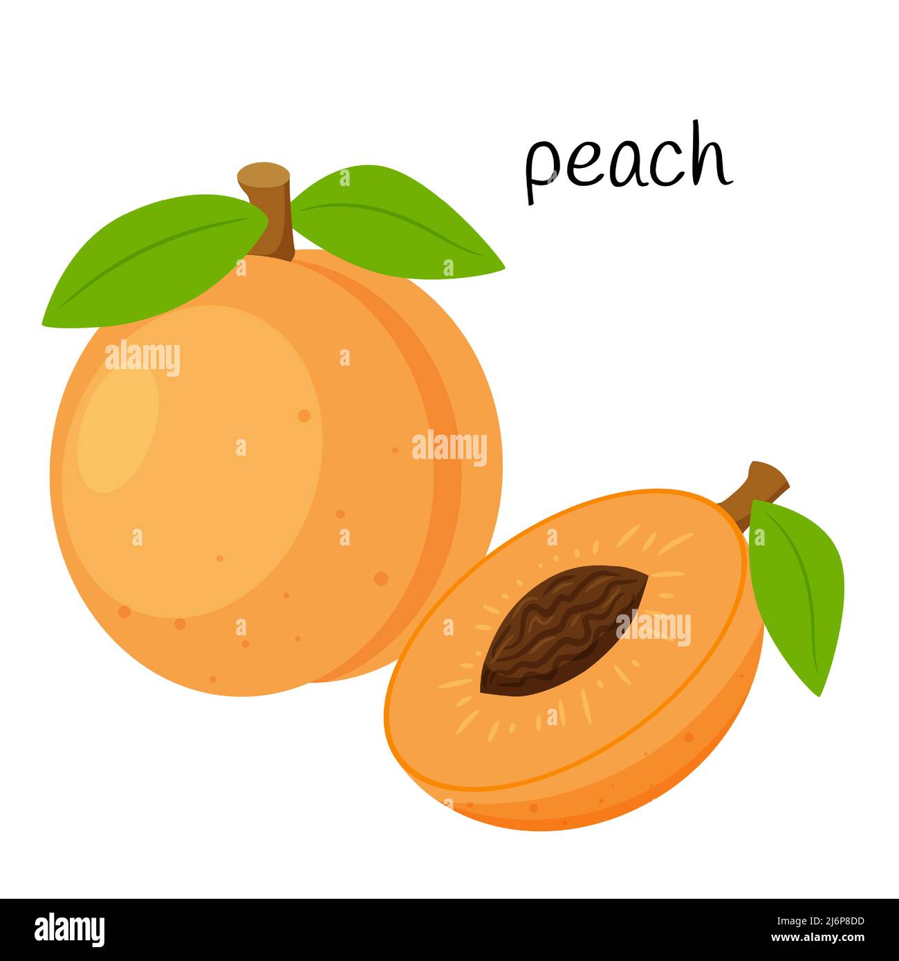 Ganzen Pfirsich und die Hälfte mit einem Samen schneiden. Fruchtsymbol. Flaches Design. Auf weißem Hintergrund isolierte Darstellung von Farbvektoren Stock Vektor