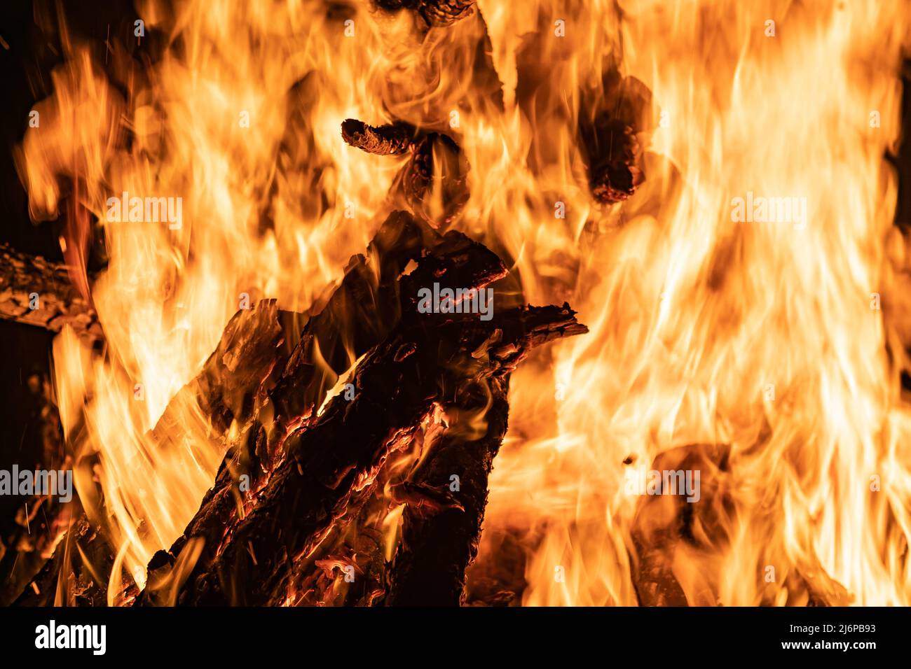 Lagerfeuer mit Betonung der Form des Feuers in seiner orangen Farbe, wobei die Holzstämme (Holz) verbrannt werden. Stockfoto