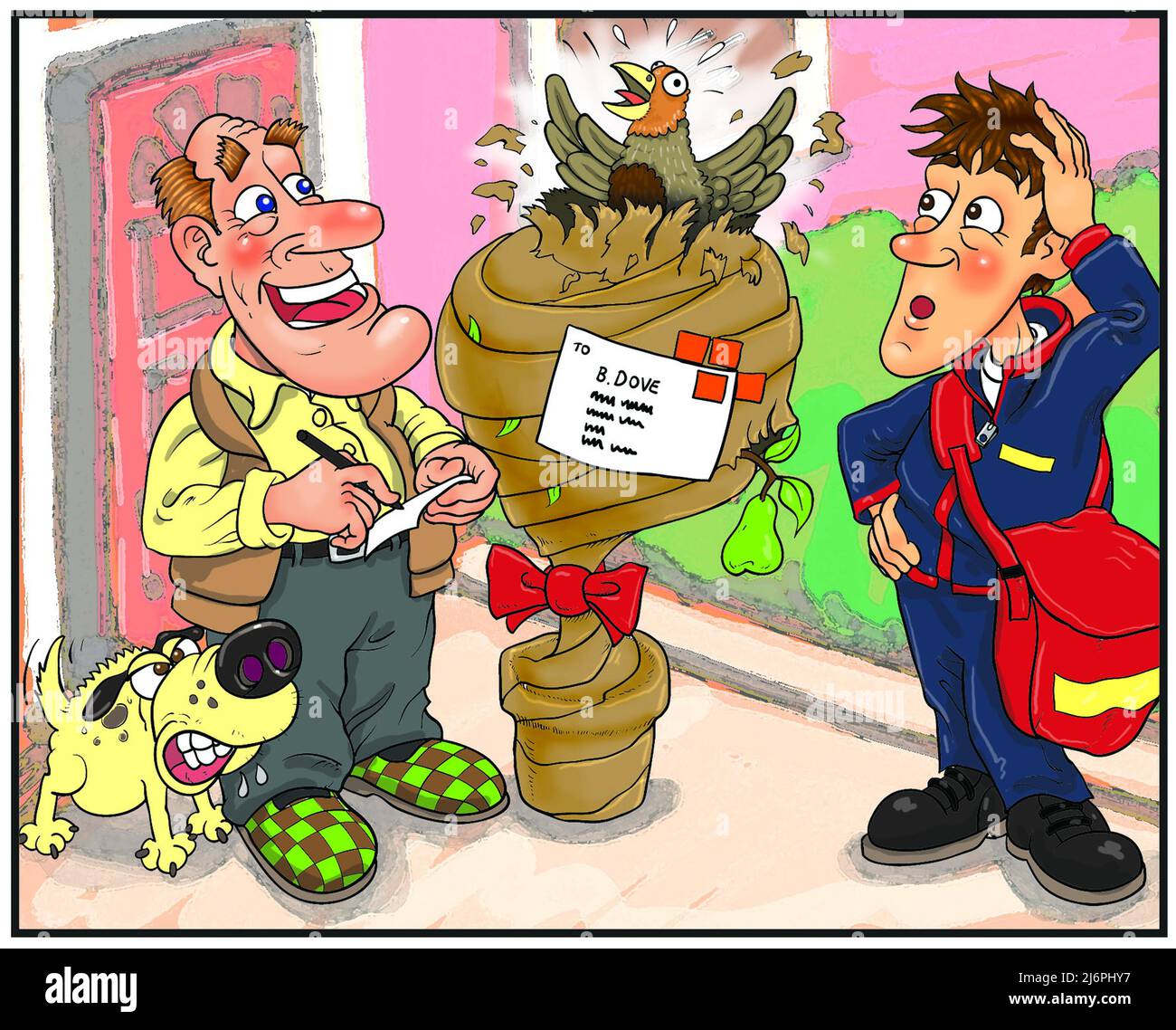 Cartoon Konzeptkunst, Mann erhält Rebhuhn in einem Birnenbaum per Post. Thema Geschenkideen, Weihnachtsgeschenke, ungewöhnliche Geschenke, festliche Geschenke, Versandauftrag. Stockfoto