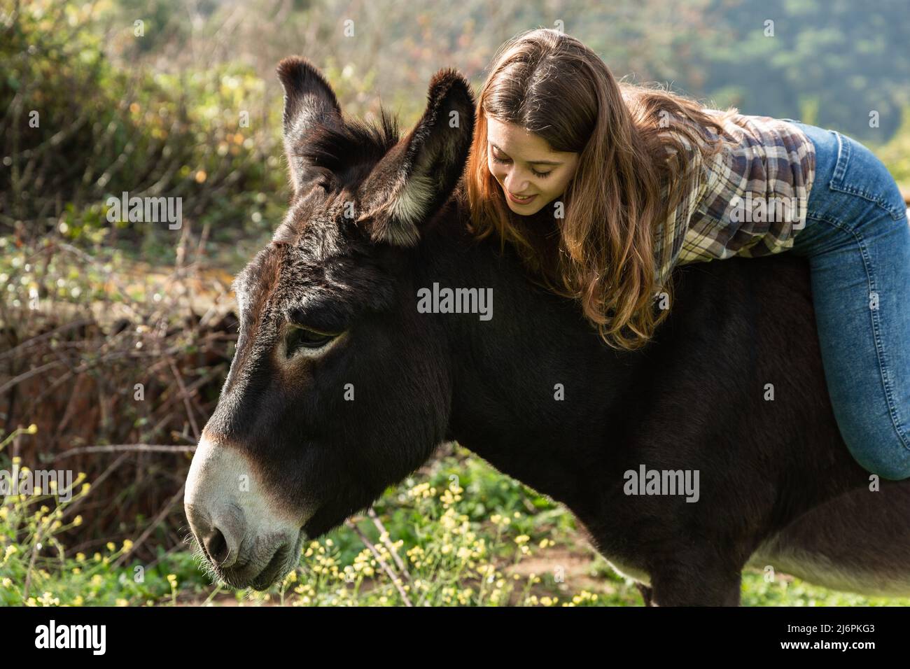 Eine glückliche junge Frau, die auf einem Esel auf der Wiese reitet Stockfoto