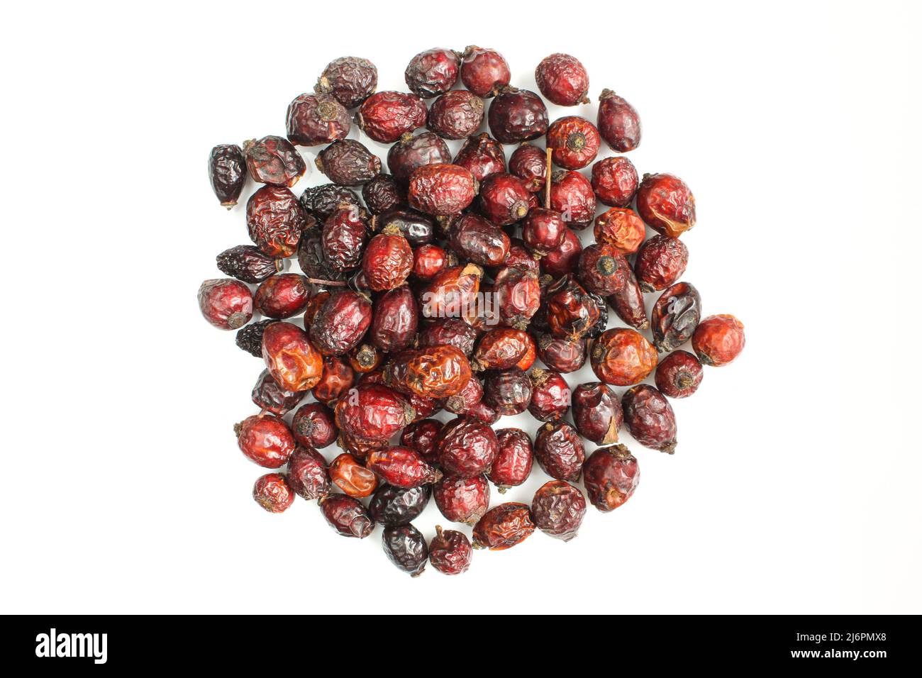 Haufen trockener Hagebuttsamen isoliert auf weißem Hintergrund. Rosa canina oben Stockfoto