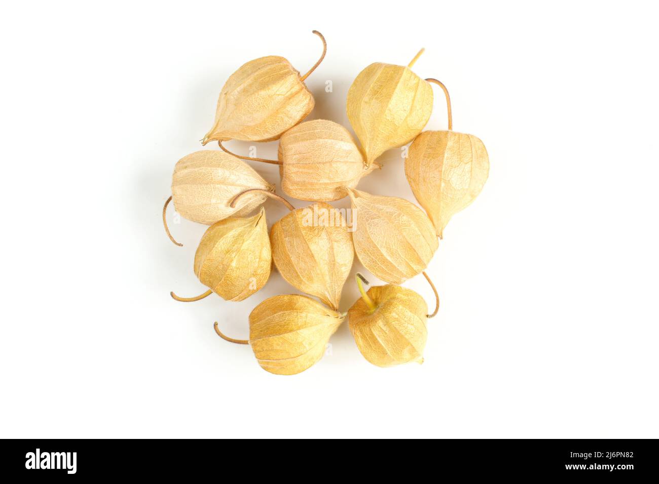 Physalis peruviana. Haufen peruanischer Guckerkirschen in Schale isoliert auf weißem Hintergrund Stockfoto