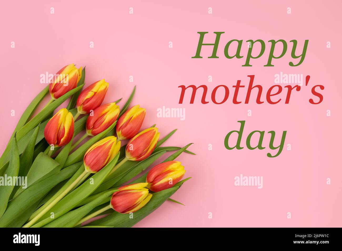 Tulpen sind gelb-rot, auf einem rosa Hintergrund und der Text HAPPY MOTHER'S DAY. Stockfoto