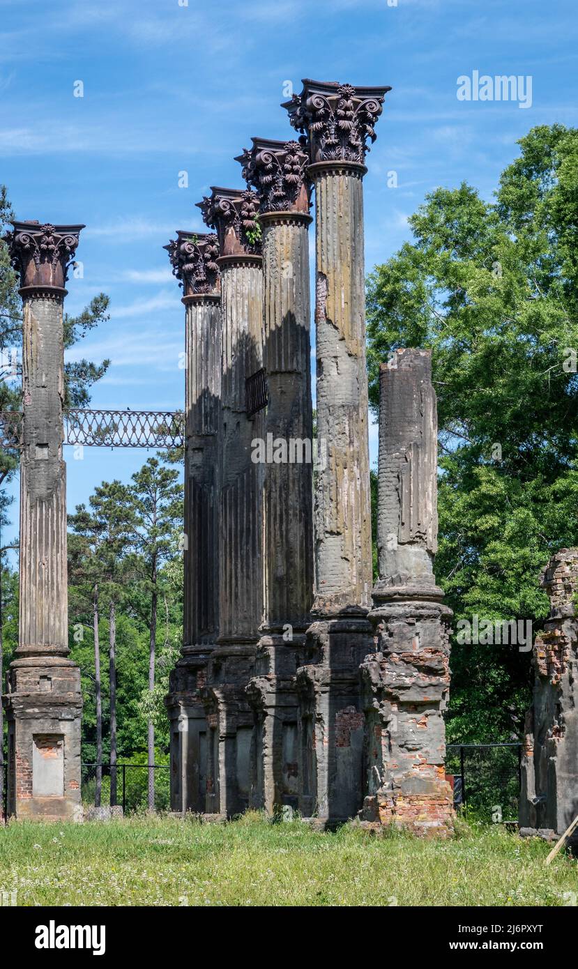 Windsor Ruins in der Nähe von Port Gibson, Mississippi, Ruinen eines der größten Vorkriegshäuser, die je gebaut wurden, und liegen am Natchez Trace Parkway, USA. Stockfoto