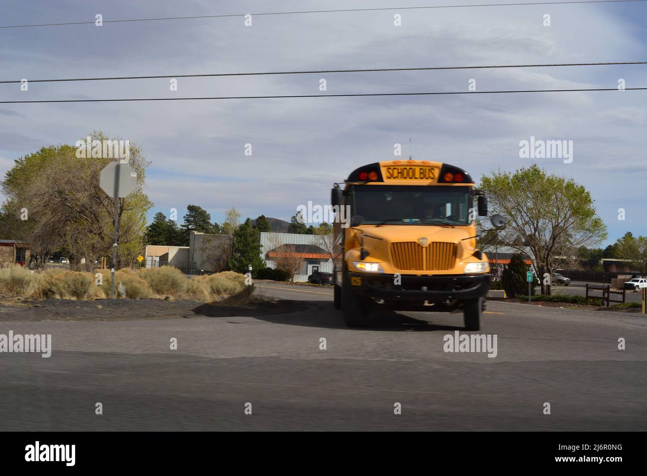Traditionelle Schulbusse auf der Straße Stockfoto