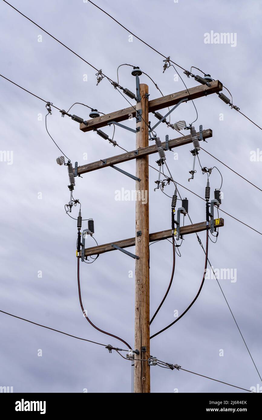 Ein großer hölzerner Strommast mit Übertragungsleitungen und Kommunikationskabeln, der in Rocky View County Alberta, Kanada, hoch steht. Stockfoto