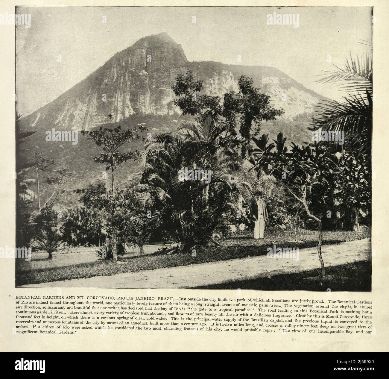 Antike Fotografie von Botanischen Gärten und Mount Corcovado, Rio de Janeiro, Brasilien 19. Jahrhundert Stockfoto